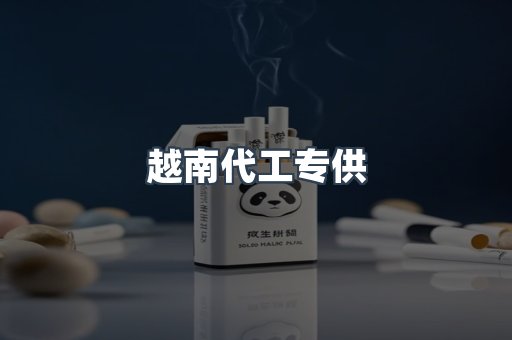 越南代工专供